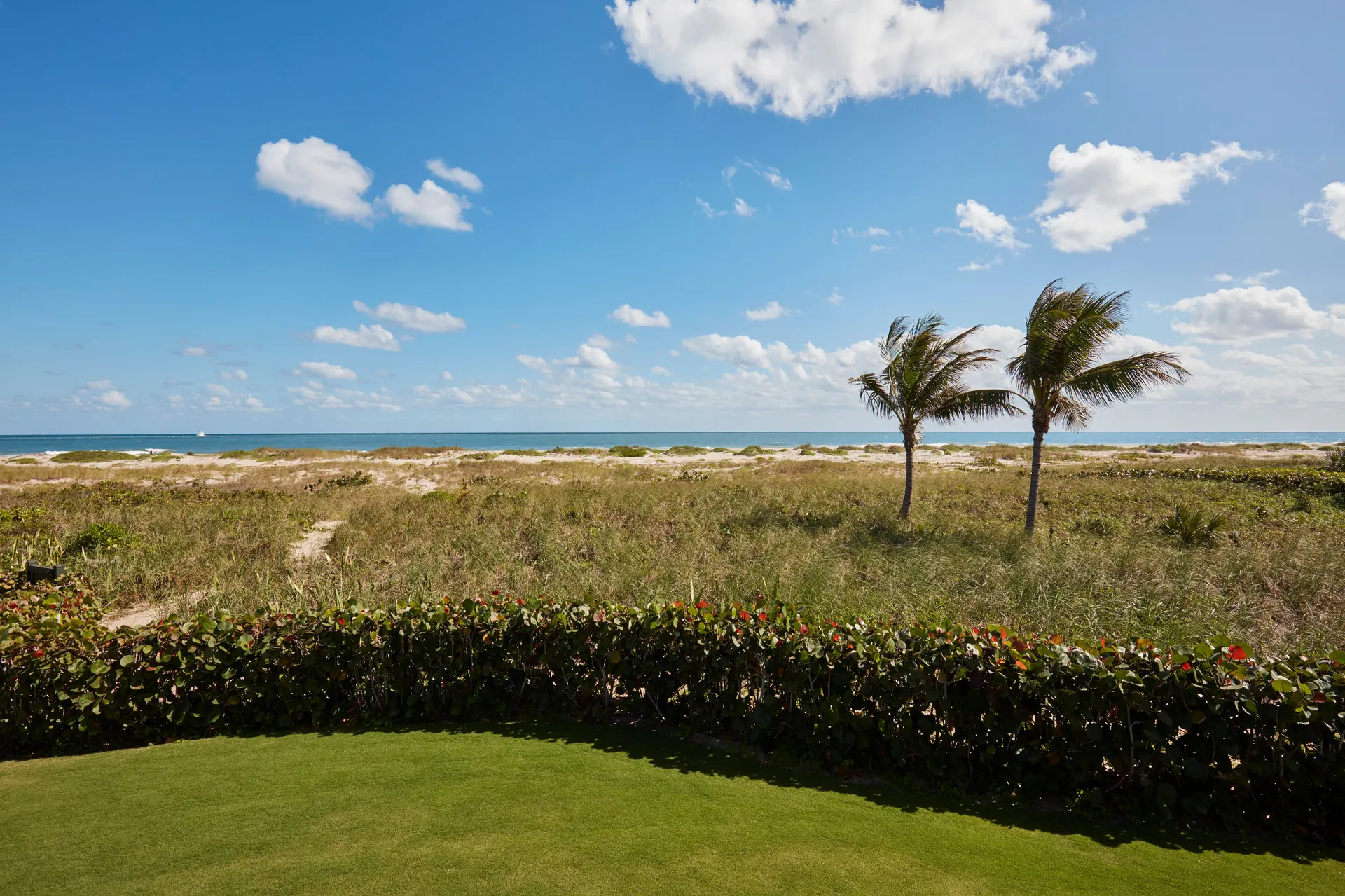 Palm Beach — photograph 18