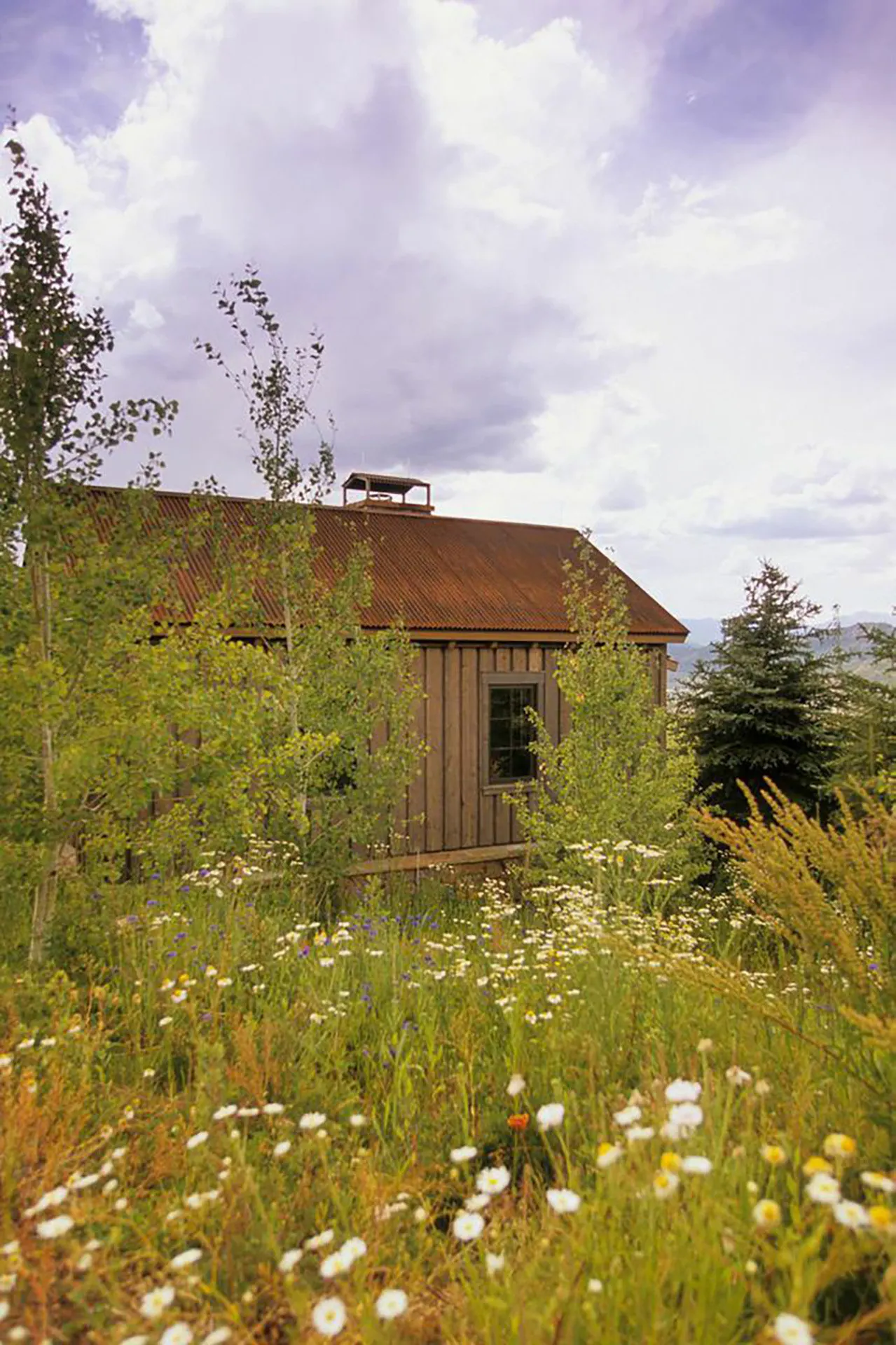 Starwood Caretake — photograph 6